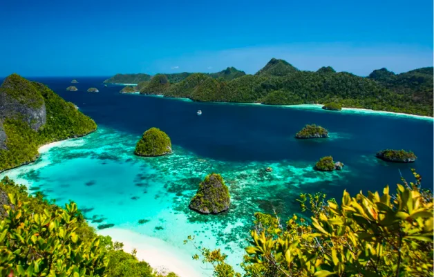 Remote and Untouched